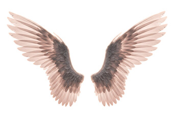Obraz premium Pair of angel wings isolated on transparent background