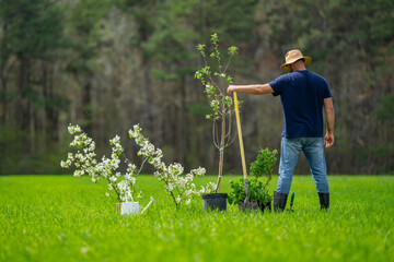Farmer planting tree. Farmer growing plants in backyard. Farmer working on the farm. Farmer working on spring field. Backyard gardening lifestyle. Soil preparation for planting. Planting tree in green