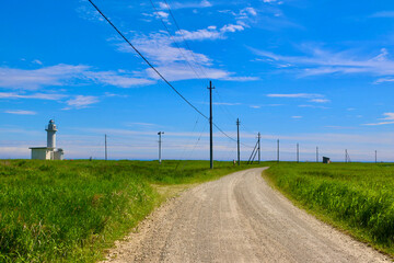 Fototapeta premium 野付埼灯台・野付半島（北海道・別海町）
