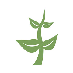 vector illustration of a tree with green life