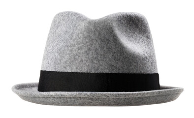 Gray fedora hat with black band