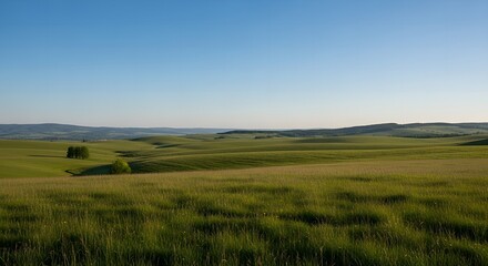 Obraz premium Rolling green hills stretch endlessly under a vast, clear sky, with a lonely road winding through the fertile fields, capturing the peaceful serenity of the countryside at dawn or dusk. 