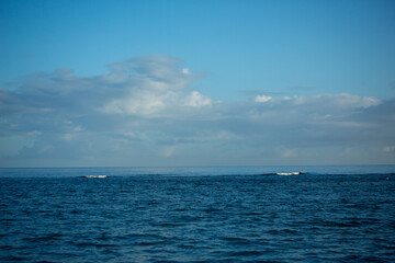 Obraz premium 奄美大島の夏の海と空。