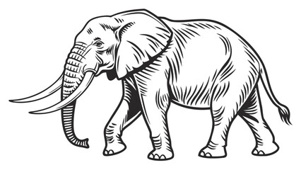 Obraz premium Illustration of an african elephant walking with detailed line work and defined features shown clearly