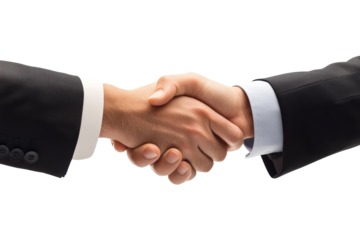 Business handshake closing successful deal
