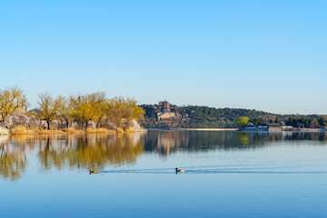 Distant View of the Tower of Buddhist Incense in Summer Palace, Beijing, China