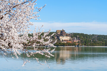 Overlooking the Tower of Buddhist Incense in Summer Palace, Beijing, China over Peach Tree Flower by Kunming Lake