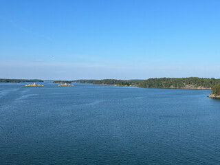 the river in the summer