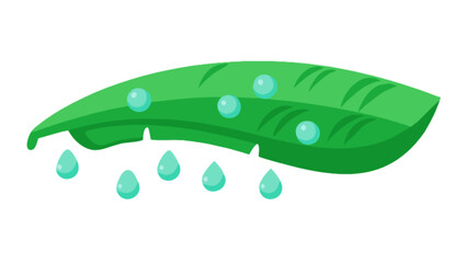 Fresh green leaf with water droplets vector illustration for nature and environmental themes design element