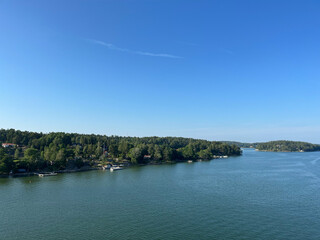 the river in the forest