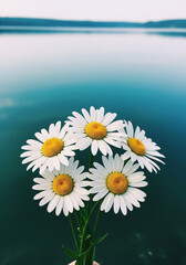 White daisies bloom by a tranquil blue lake