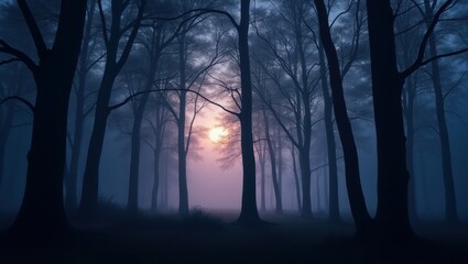 Fototapeta premium Misty forest path at dawn.