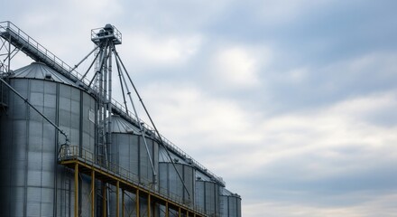 Building a Sustainable Future: How Agribusiness and Agronomy Influence Barley Flour Production for Better Bread Quality