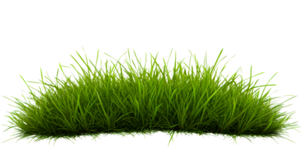 Lush green grass clump with a transparent background for design