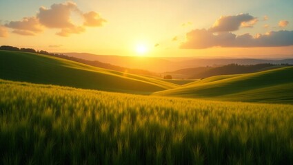 Obraz premium Sun Rays Shining Over Rolling Hills – Beautiful Green Meadow at Sunrise