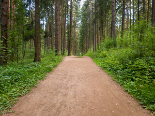 Scenic dirt path winding through lush green forest, surrounded by tall trees and vibrant foliage,...