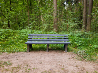 Wooden bench situated in a serene forest environment surrounded by lush greenery and tall trees, providing a peaceful spot for relaxation and contemplation in nature