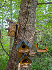 Wooden birdhouses of various designs are hanging on a tree trunk surrounded by lush green foliage, creating a charming and inviting atmosphere for local wildlife