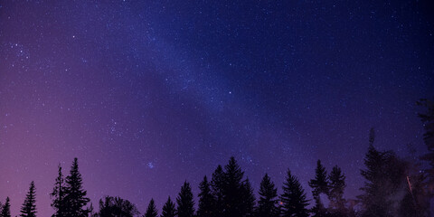 Naklejka premium night landscape with moon and clouds