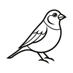sparrow line art on white background.