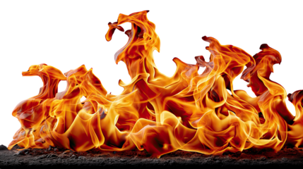 Fiery Dance of Flame: A mesmerizing display of vibrant, flickering flames, painted with fiery hues of orange and red. 