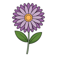 aster flower vector in flat color on white background.