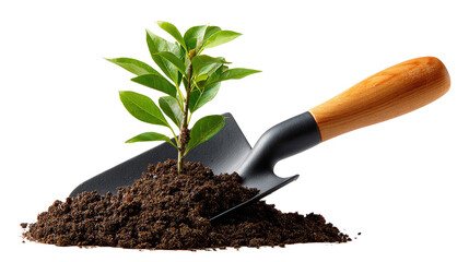 A New Beginning: A tender green sprout emerges from rich, dark soil, nestled against a gardening trowel. This is an allegorical representation of growth, renewal, and the potential of new life.