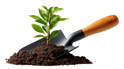 A New Beginning: A tender green sprout emerges from rich, dark soil, nestled against a gardening trowel. This is an allegorical representation of growth, renewal, and the potential of new life.