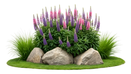 Vibrant pink and purple flowers bloom, surrounded by lush green foliage, natural large rocks, and fresh grass. This isolated transparent png.
