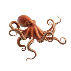 Obraz premium A vibrant orange red octopus illustration, showcasing its detailed tentacles and suckers. Ideal for marine life and aquatic themes.