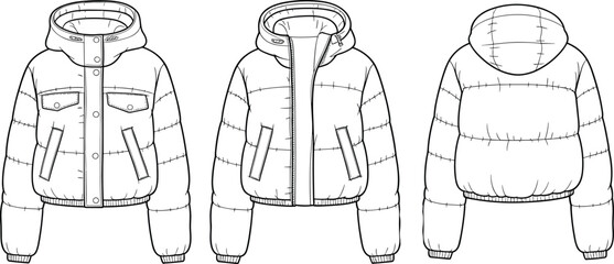 Vector technical flat sketch of cropped puffer jacket front, open front, and back views with hood and pockets for design © Legend Monir