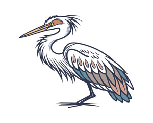 watercolor Heron vector illustration isolated on white background
