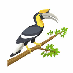 Fototapeta premium Colorful hornbill bird perched on a branch tropical forest vibrant environment close-up view wildlife concept