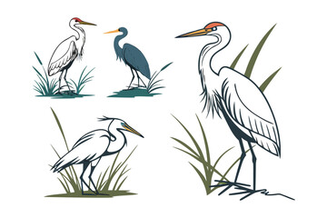 set of watercolor Heron vector illustration isolated on white background