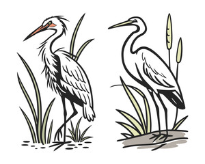 watercolor Heron vector illustration isolated on white background