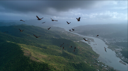 Obraz premium Avian Ascent over Scenic Valley: A captivating aerial perspective unveils a flock of dark birds soaring gracefully above a lush, verdant landscape, their journey guided by the vast.