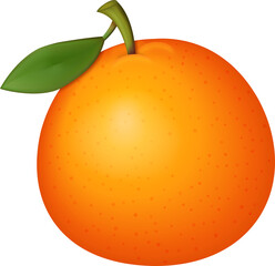 3D cartoon fruit orange with green leaf