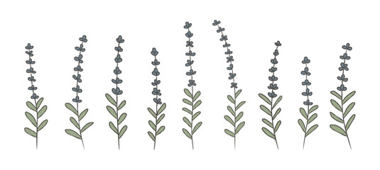 Hand drawn lavender flower set. Rustic vintage cottagecore botanical vector illustration collection for scrapbooking, greeting cards, patterns, decor.