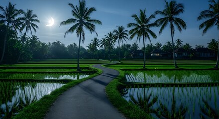 Obraz premium Green Rice Paddy Under Moonlight with Palm Trees and Winding Road