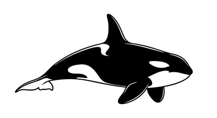 Fototapeta premium Majestic Monochrome Orca: A Striking Illustration of Marine Beauty and Power in Simplistic Form