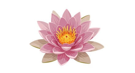 Fototapeta premium Elegant pink water lily illustration showcasing delicate petals and vibrant yellow center portraying nature's serene beauty