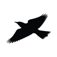 Fototapeta premium Black Bird in Flight Silhouette Vector Illustration Graphic