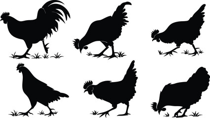 Silhouette Cock in white background vector design, Cock logo and icon design, Cock Silhouette vector design
