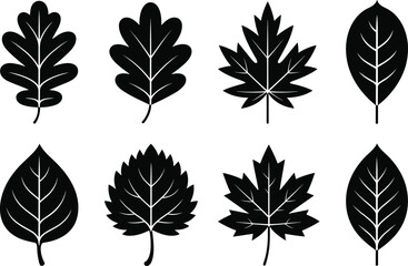 Collection of black leaf silhouettes leaves nature