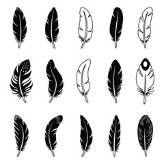 Collection of hand drawn feathers in black and white sketch style for artistic design elements