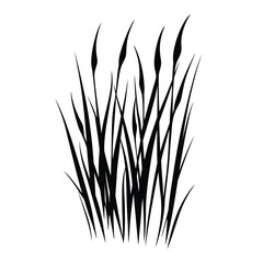 Reed Plant Silhouette with White Background, Swamp Grass, Monochrome Design