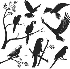 Set of Parrot Silhouette illustration vector design, Parrot logo design, Parrot vector design