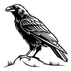 Obraz premium A striking black and white illustration of a detailed raven or crow standing on a small mound, reminiscent of a woodcut or tattoo design.