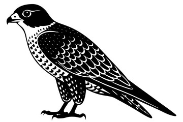 Obraz premium Isolated falcon bird predator animal wildlife hawk eagle falconry silhouette vector illustration