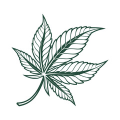 Green leaf icon in flat style on white background